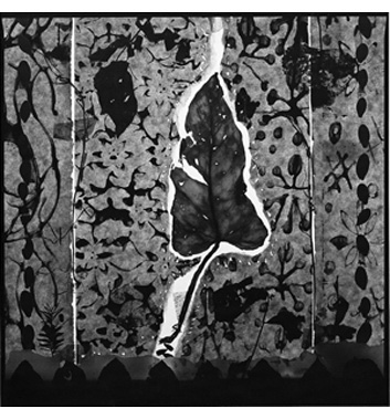 HOMMAGE TO THE PLANTS