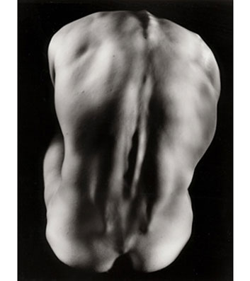 FROM THE SERIES POLAROID