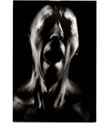 FROM THE SERIES POLAROID