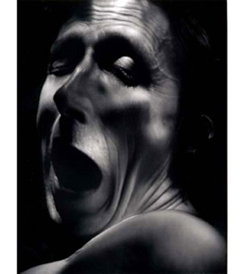 FROM THE SERIES POLAROID