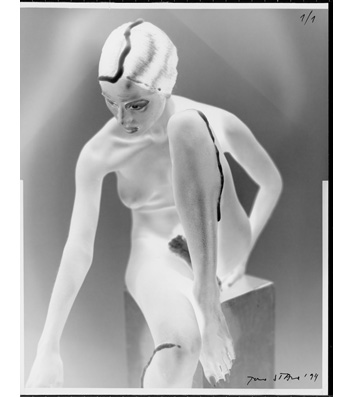 FROM THE SERIES WHITE SHADOW
