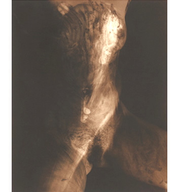 BROWN TORSO #18